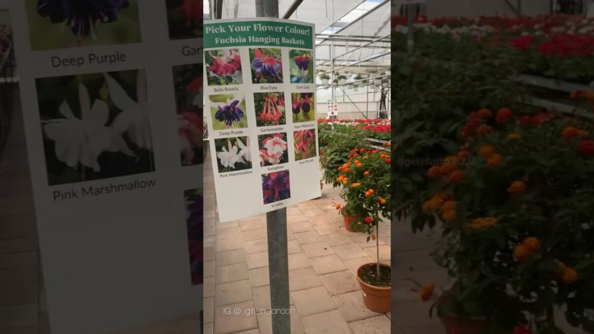 The ultimate destination for all your gardening needs. 🪴 🌺 The ultimate destination for all your gardening needs. 🪴 🌺