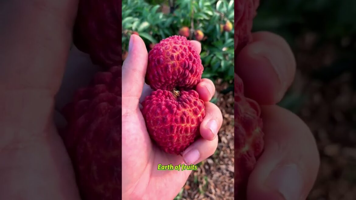Farm Fresh Ninja Fruit Cutting!! #185 #shorts #shortsfeed #viral #vegetables #fruits 🥝🍓🍎🍒🍐🍉