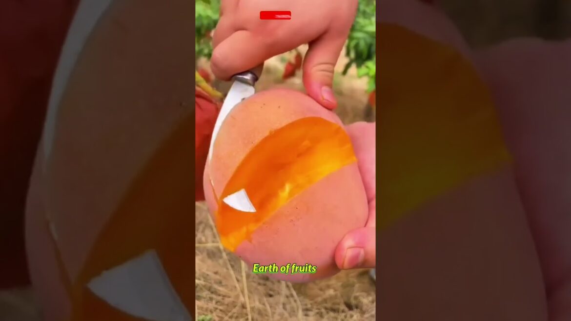 Farm Fresh Ninja Fruit Cutting!! #184 #shorts #shortsfeed #viral #vegetables #fruits 🥝🍓🍎🍒🍐🍉