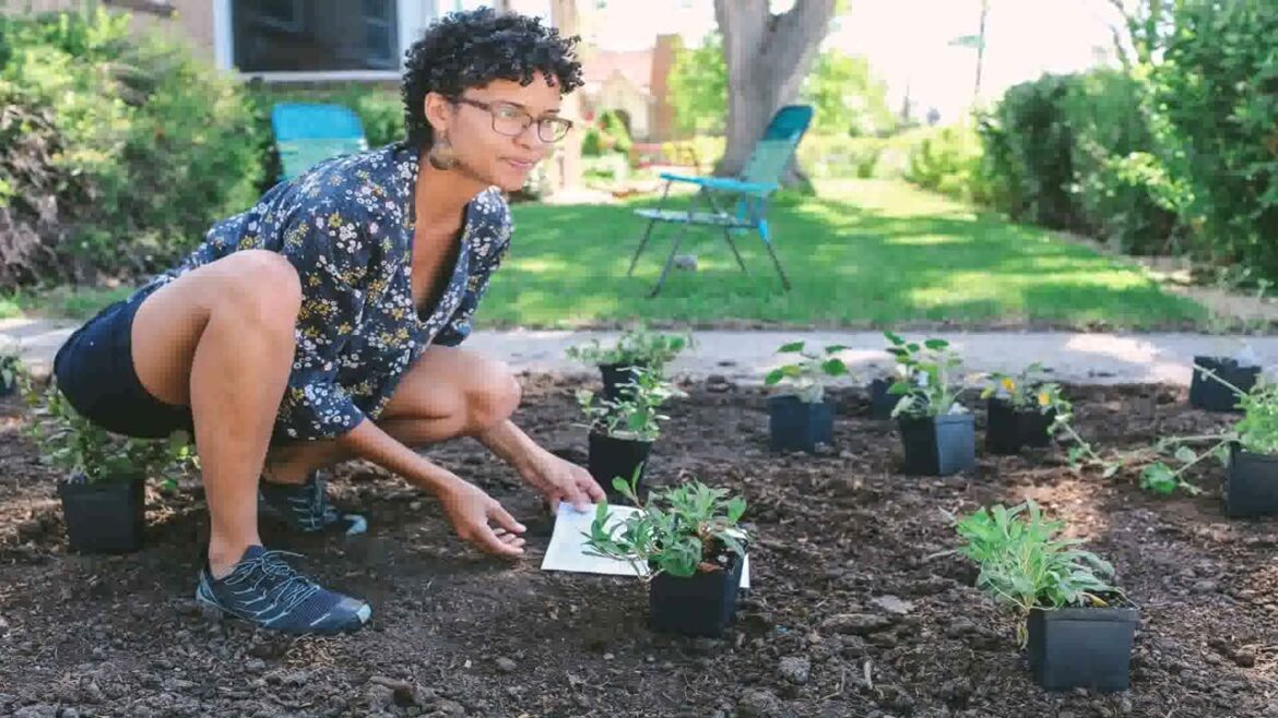Do It Yourself Front Yard Landscaping