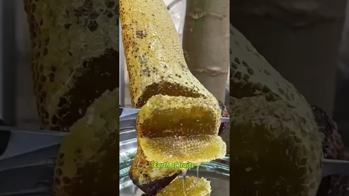 Farm Fresh Ninja Fruit Cutting!! #186 #shorts #shortsfeed #viral #vegetables #fruits 🥝🍓🍎🍒🍐🍉