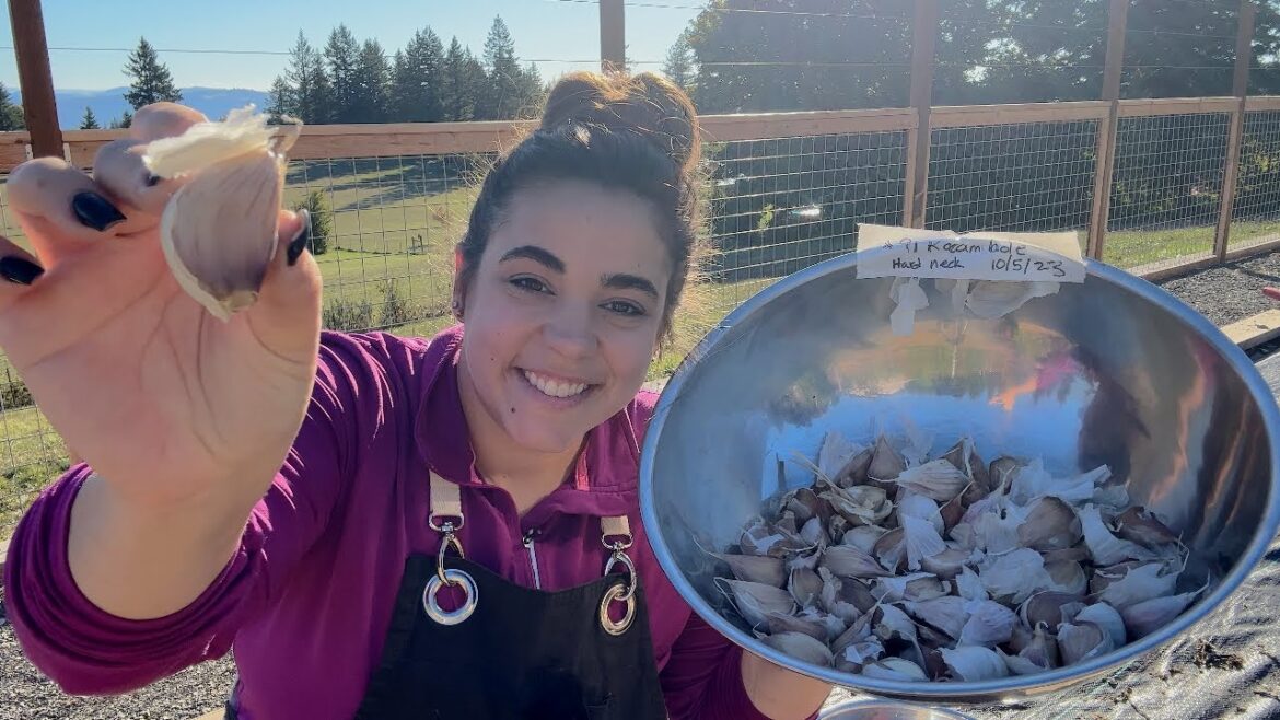 Getting 2024’s Garden Started Off Right! Getting 2024's Garden Started Off Right!