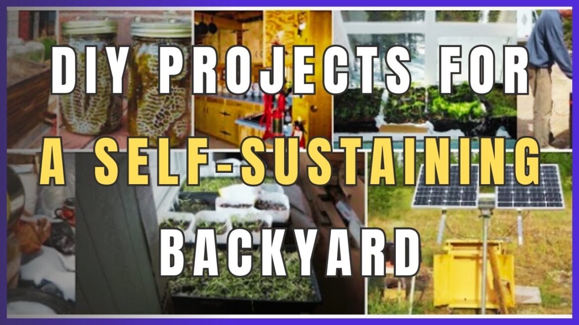 DIY Projects for a Self-Sustaining Backyard