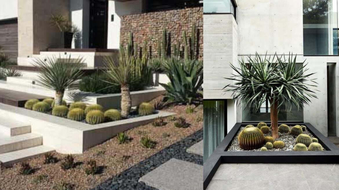 100 different Ideas For Stone And Cactus Garden Landscaping 2023| Backyard Garden landscaping Idea 100 different Ideas For Stone And Cactus Garden Landscaping 2023| Backyard Garden landscaping Idea