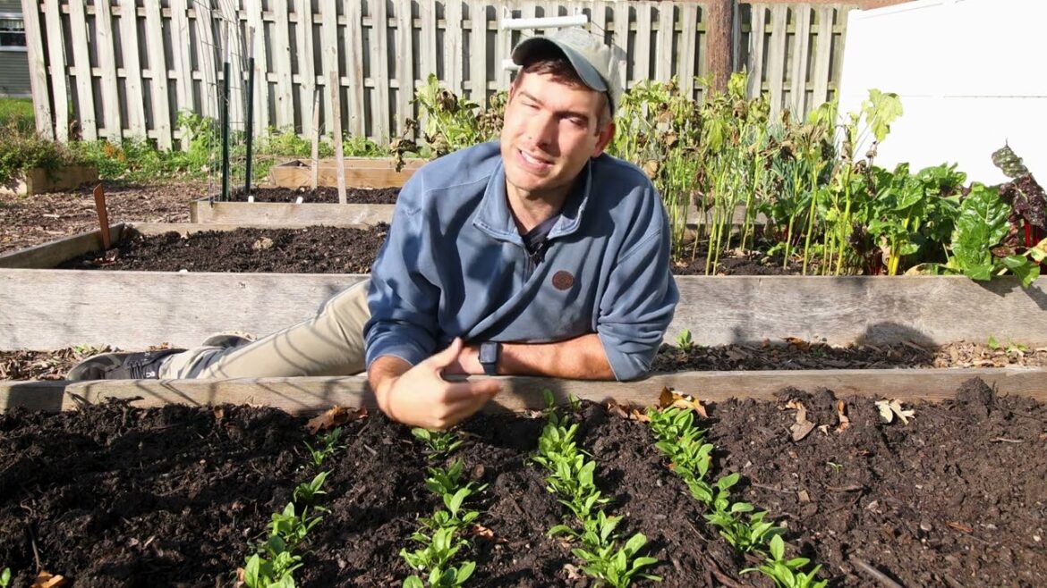 MIgardener: Try These 5 Tips For Keeping Squirrels From Driving You NUTS In The Garden Try These 5 Tips For Keeping Squirrels From Driving You NUTS In The Garden