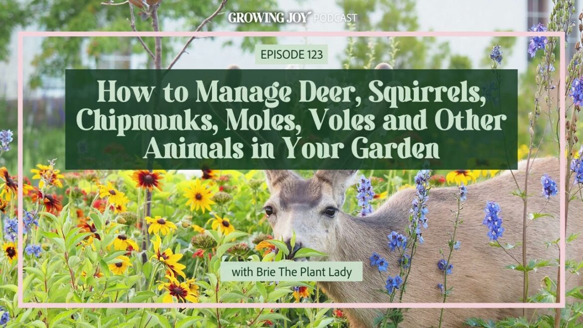 123 How to Manage Deer, Squirrels & Other Animals In Your Garden | Growing Joy with Plants | Podcast
