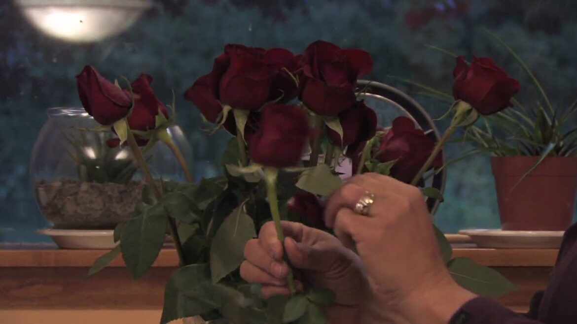 Gardening Tips : How to Keep a Dozen Red Roses Fresh