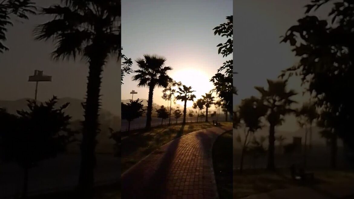 Sunrise  | inspiration | motivational #subscribe