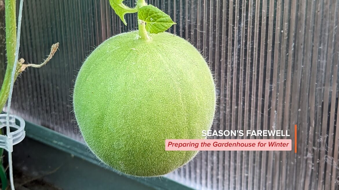 Season’s Farewell – Preparing the Garden house for Winter | Greenhouse Initiatives | S1 | Ep. 8 Season's Farewell - Preparing the Garden house for Winter | Greenhouse Initiatives | S1 | Ep. 8