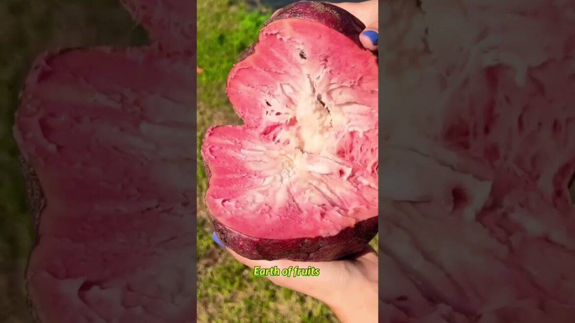 Farm Fresh Ninja Fruit Cutting!! #183 #shorts #shortsfeed #viral #vegetables #fruits π₯πππππ Farm Fresh Ninja Fruit Cutting!! #183 #shorts #shortsfeed #viral #vegetables #fruits π₯πππππ