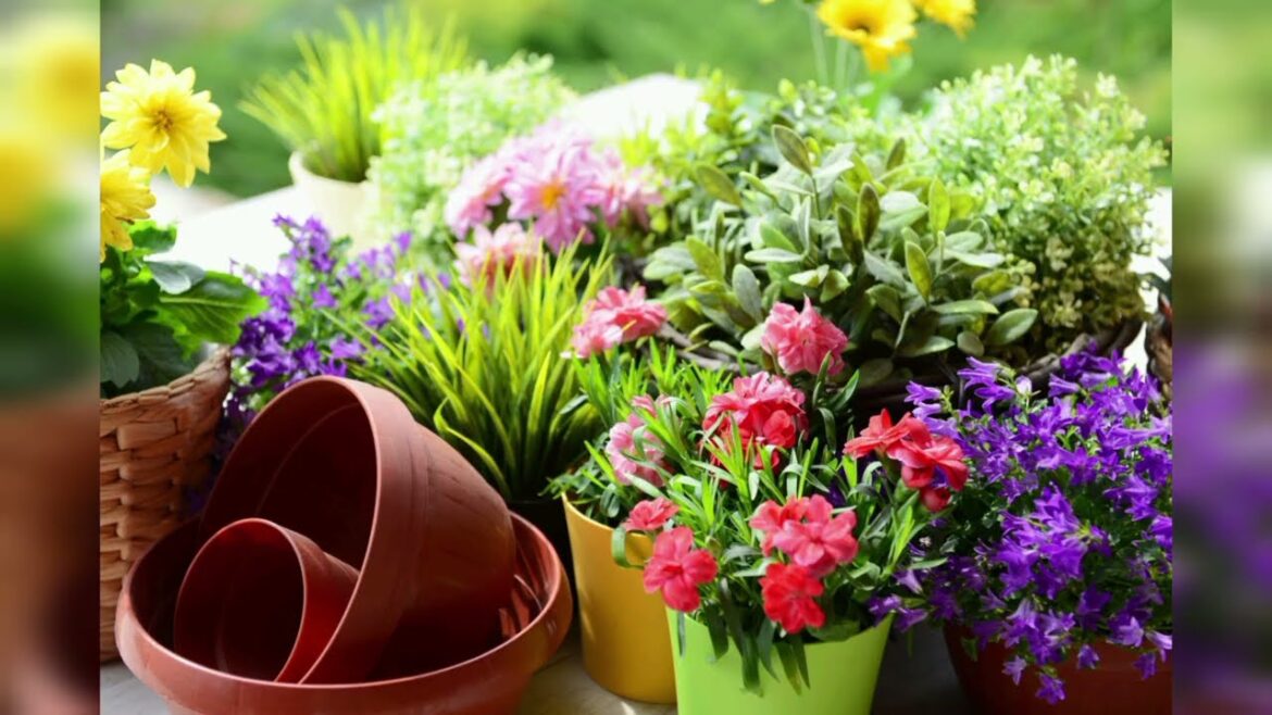 Flower garden design decorations ideas - outdoor flower decorating ideas