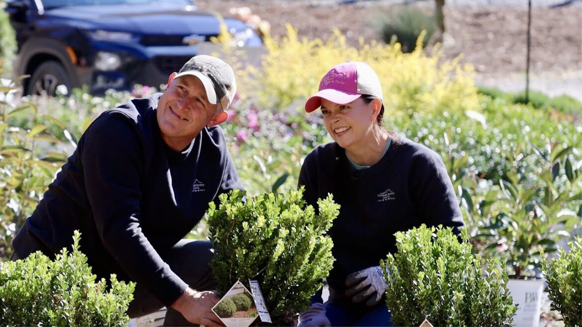 Adding the First Plants to the Proven Winners’ Signature Garden | Gardening with Creekside Adding the First Plants to the Proven Winners' Signature Garden | Gardening with Creekside