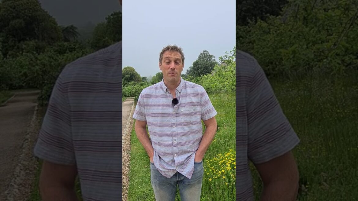 Top plant pick - The Head Gardener recommends...Plume Thistle