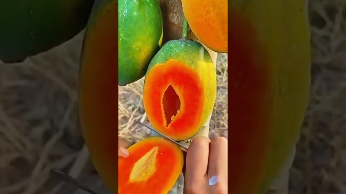 trending Chinese fruits #shorts trending Chinese fruits #shorts