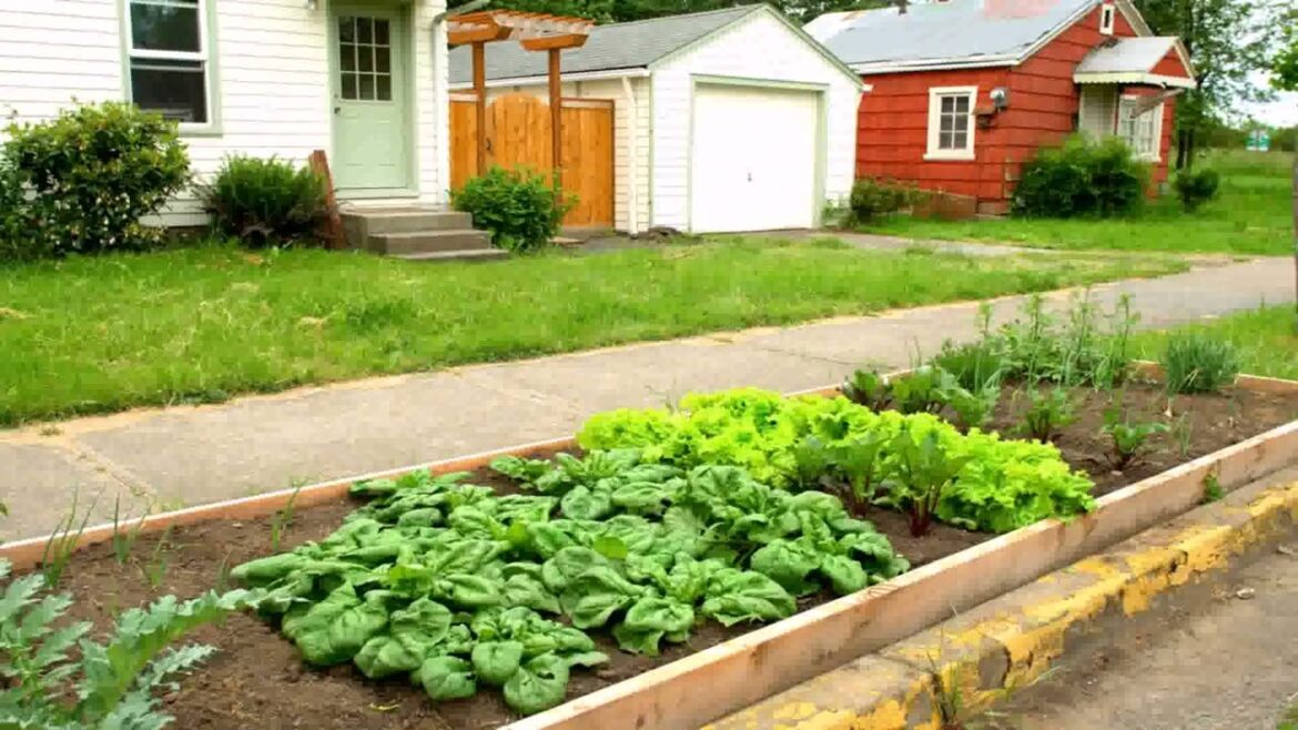 Front Yard Garden Tips