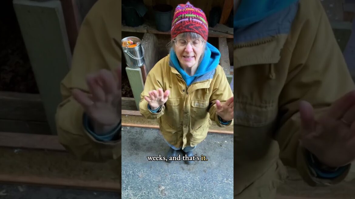 Composting Food Scraps -- Tips From an Alaska Gardener