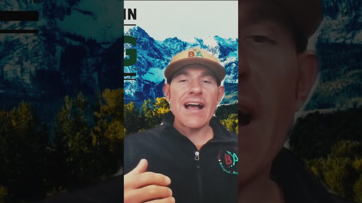 BioAg University® Q&A Episode 1: Mastering the Art of Lawn Planting #shorts #short #shortvideo BioAg University® Q&A Episode 1: Mastering the Art of Lawn Planting #shorts #short #shortvideo