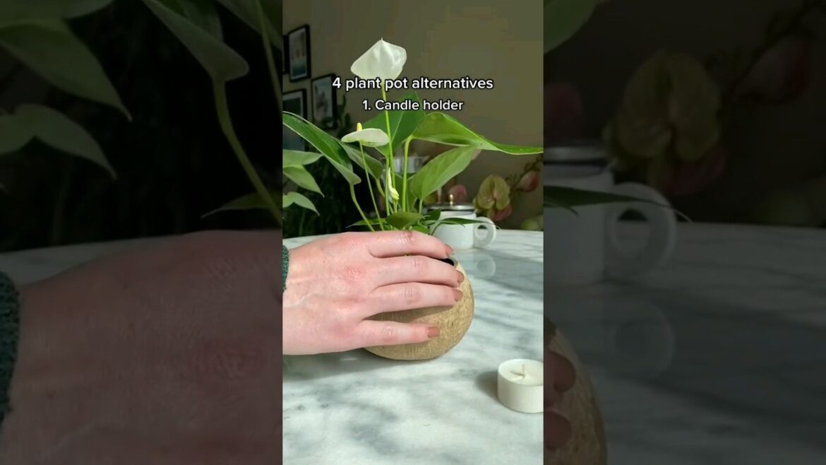 Gardening Tips 20 Best Planter Ideas #shorts #home #garden
