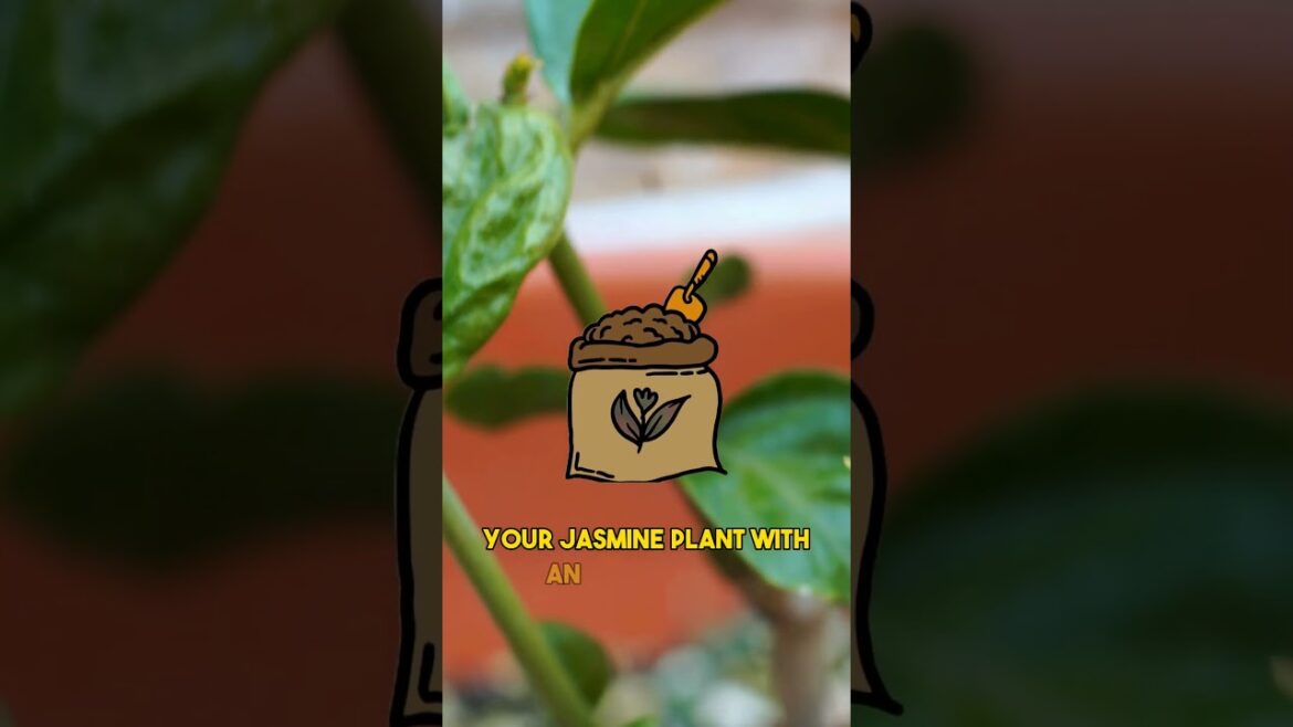 Bloom Your Own Jasmine! Fragrant Flowers in a Flash 🌼✨ #Shorts