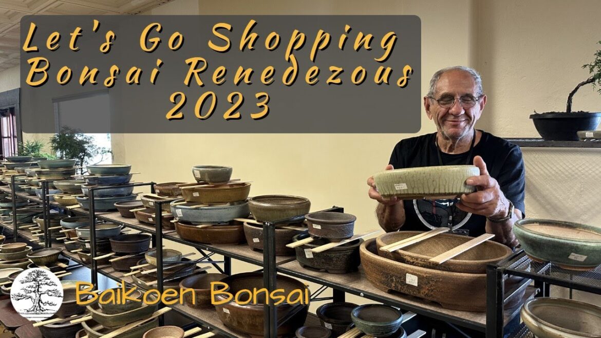 Let's Go Shopping at GSBF Bonsai Rendezvous 2023 - Bonsai Exhibition - Baikoen Bonsai Club
