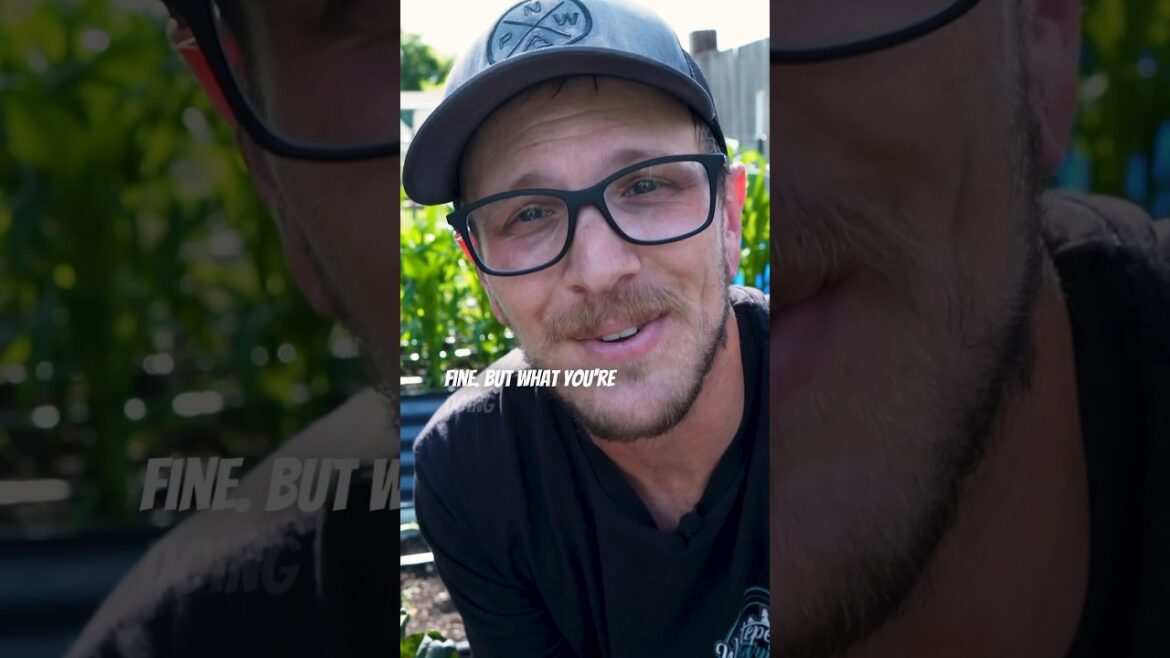 You MIGHT Be Overwatering Your Container Garden? #gardening #containergardening You MIGHT Be Overwatering Your Container Garden? #gardening #containergardening