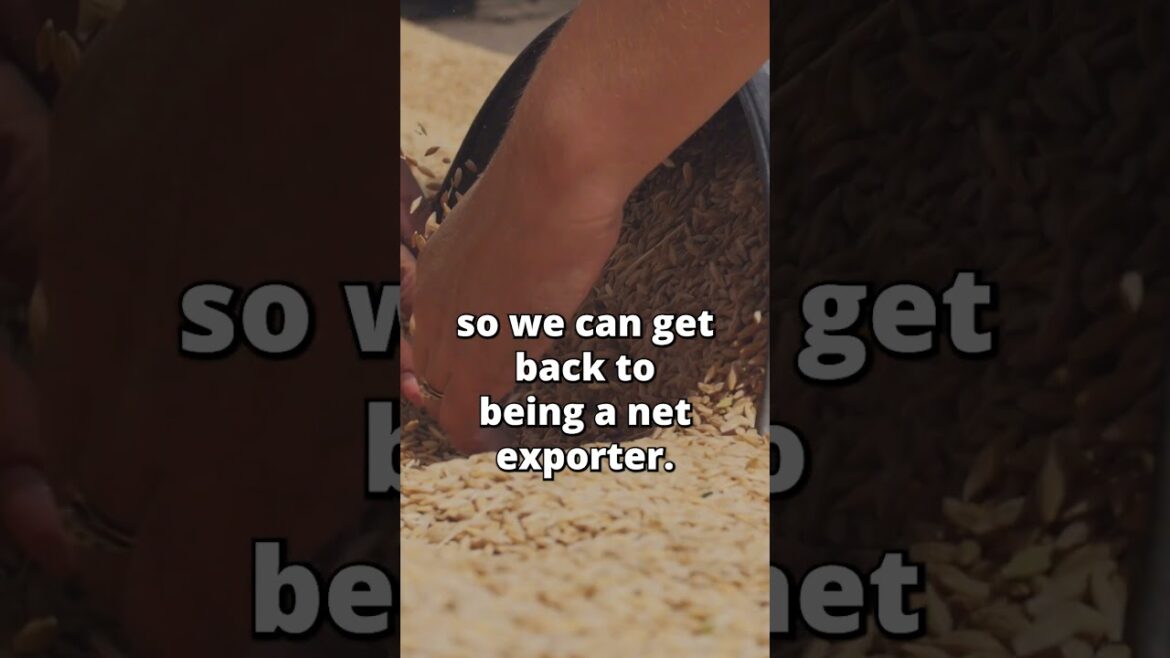 What Is Causing The Migrant Problem At Our Southern Border? #podcast #revitalizedwater #water