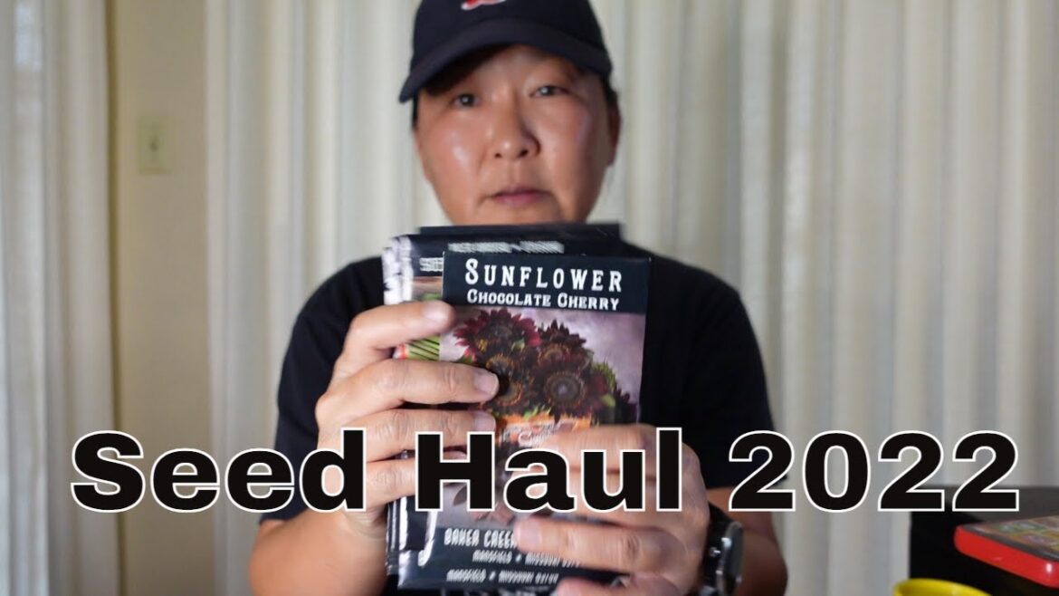 2022 Seed Haul | What I'm Planting This Year In My Container Garden