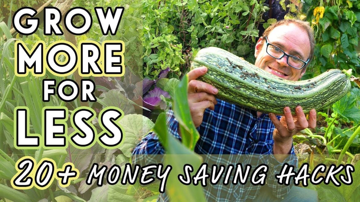 Dirt CHEAP Tricks for an Abundant Garden 💰