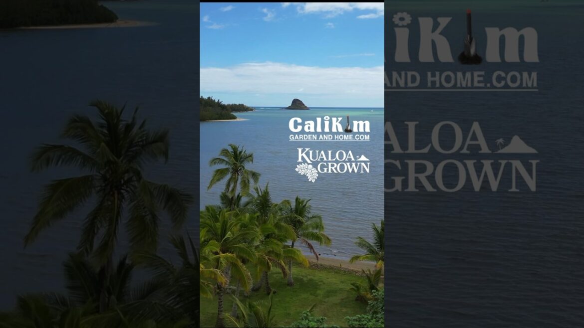 My Thoughts Behind This Shot