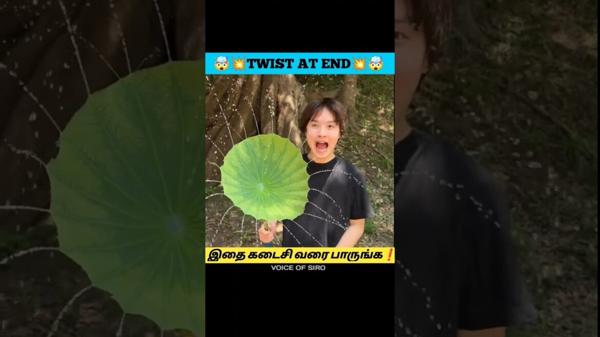 இதை கடைசி வரை பாருங்க 😱❗Twist at end #shorts#tamil #experiment #challenge