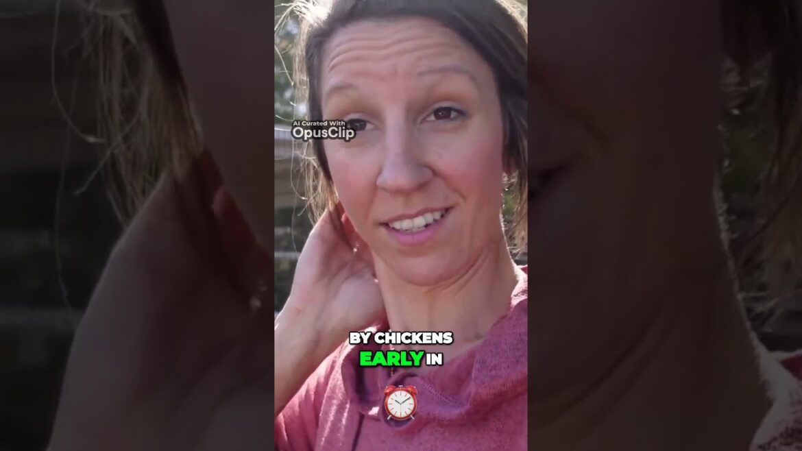 Moving Chickens to a New Coop Moving Chickens to a New Coop