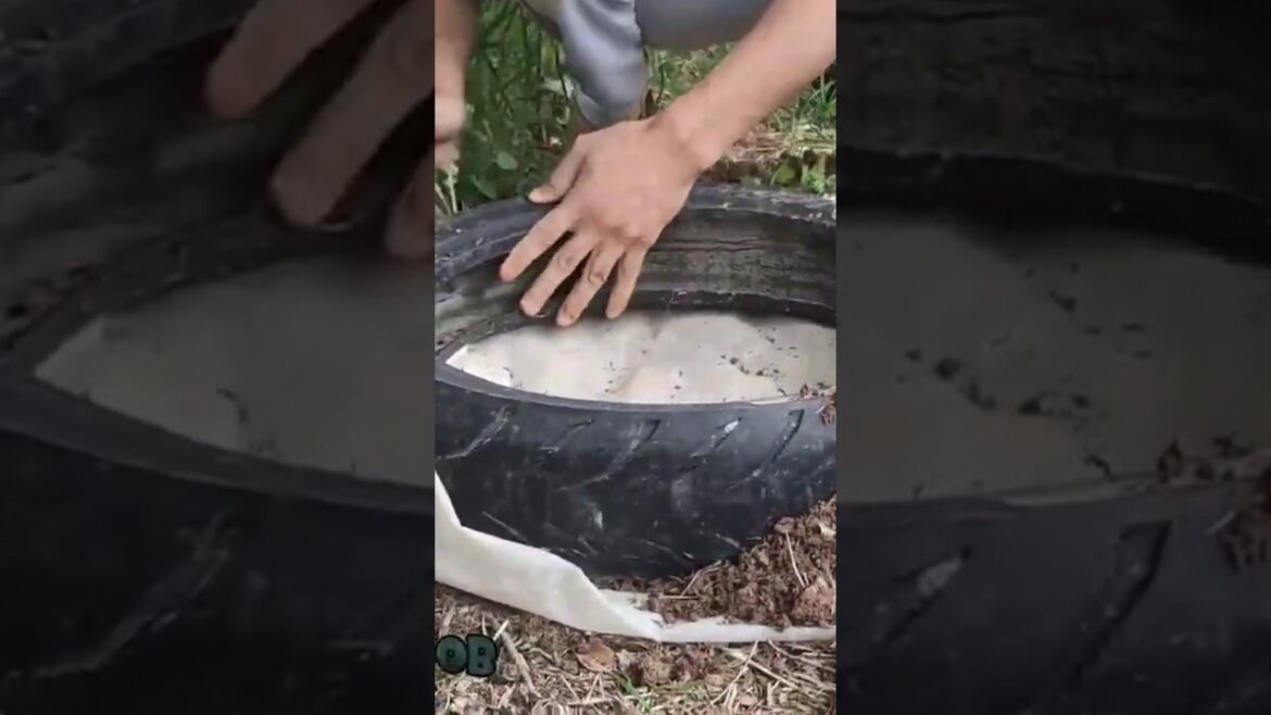 garden designs #craft #garden #creative #gardendecor #flowers #aquarium #decoration