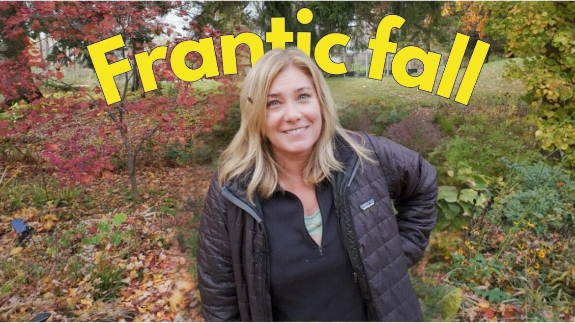 Fall garden jobs: Saving plants, planting alliums, tree care and more Fall garden jobs: Saving plants, planting alliums, tree care and more