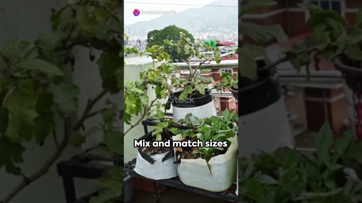 Garden Design Ideas for Small Spaces