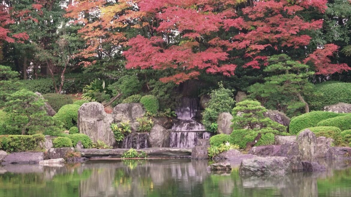 Serene Fukuoka: Autumn Rain & Maple Views at Ohori Garden Waterfall | 1 Hour Relaxation Loop #japan