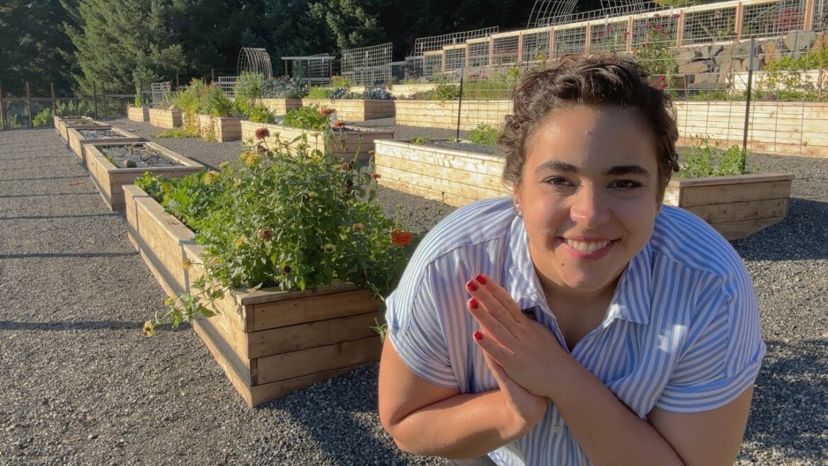 Recapping 2023's Garden and Plans for 2024's Garden | Full October Garden Tour