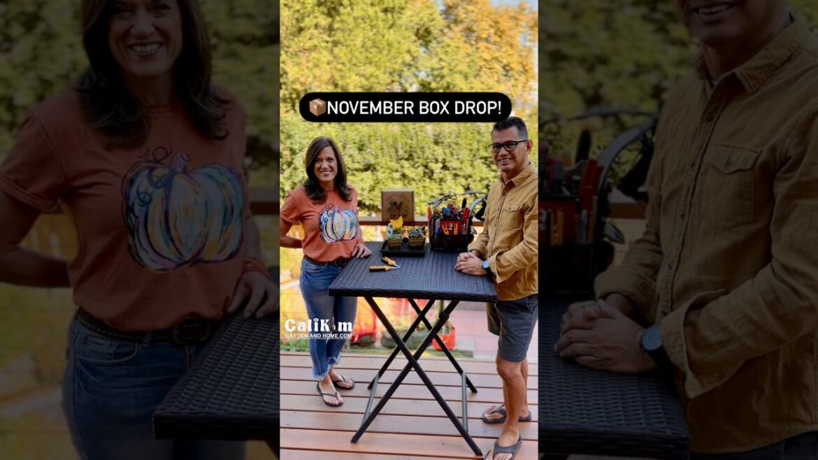 Check the Free Gift this month --