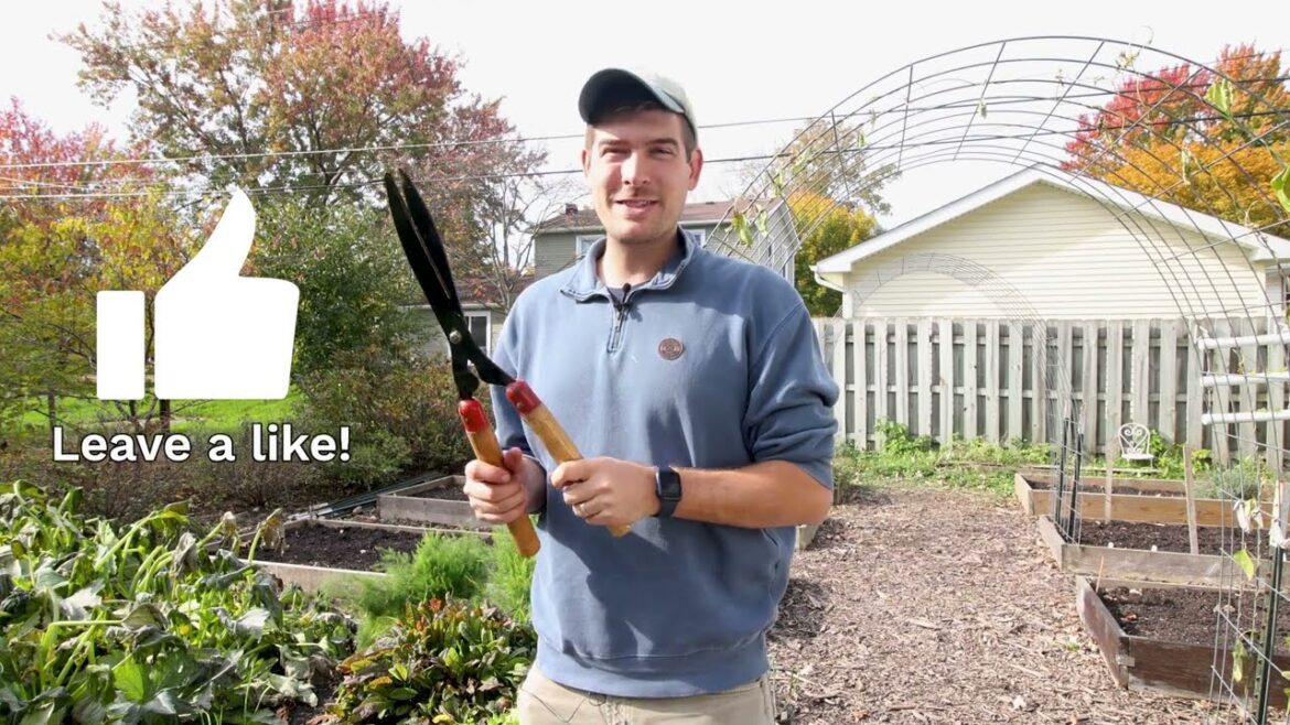 MIgardener: A MUST DO Chore For Anyone With Raised Beds A MUST DO Chore For Anyone With Raised Beds