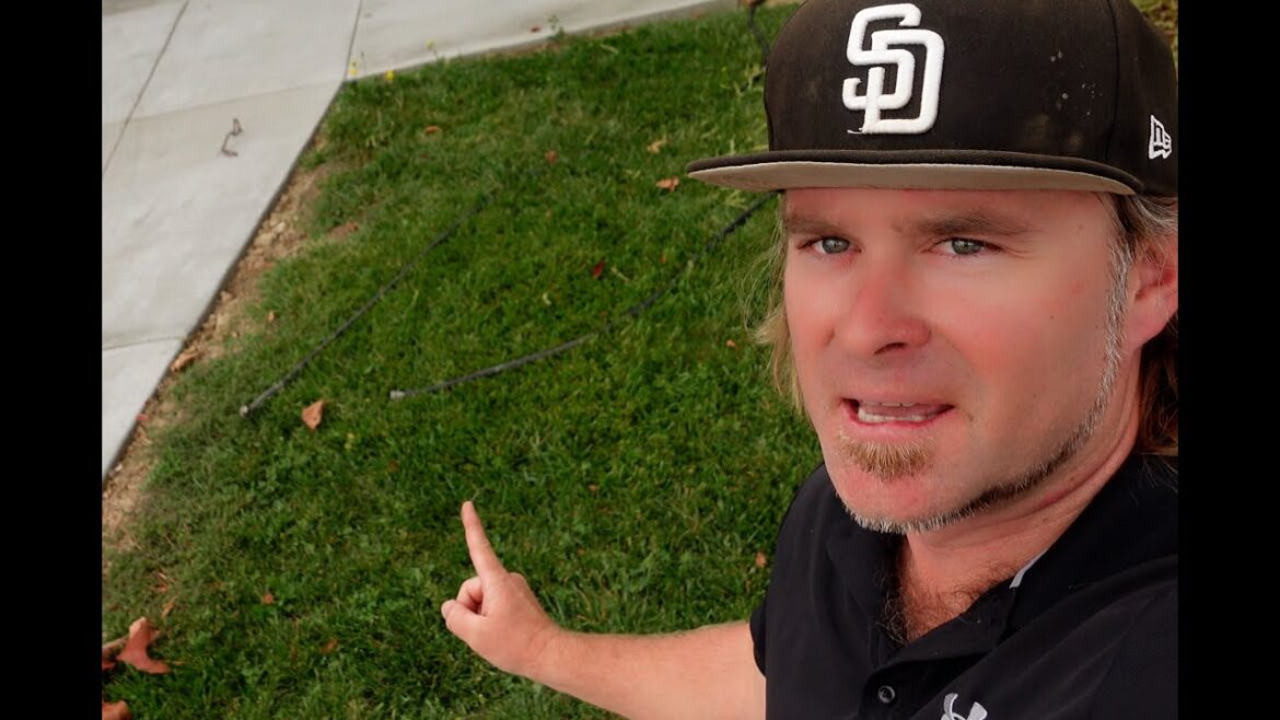 Grass to Glory: Unveiling the Secrets of a Sustainable Front Yard