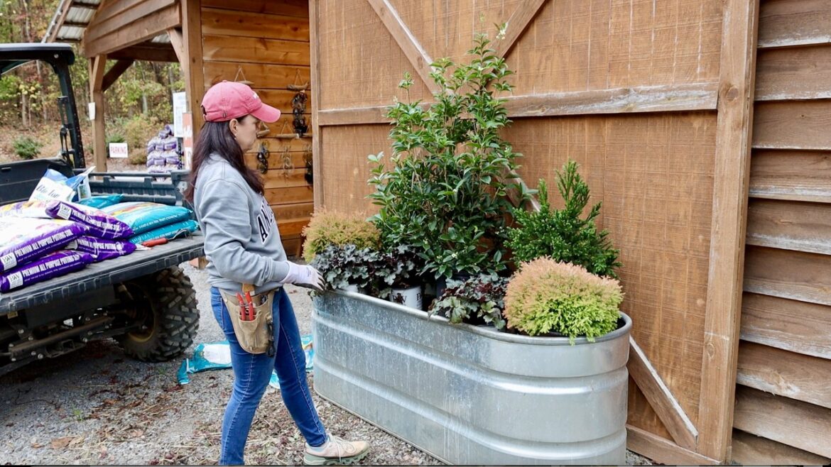 Creating An Evergreen Fall Container & Completing Irrigation | Gardening with Creekside Creating An Evergreen Fall Container & Completing Irrigation | Gardening with Creekside
