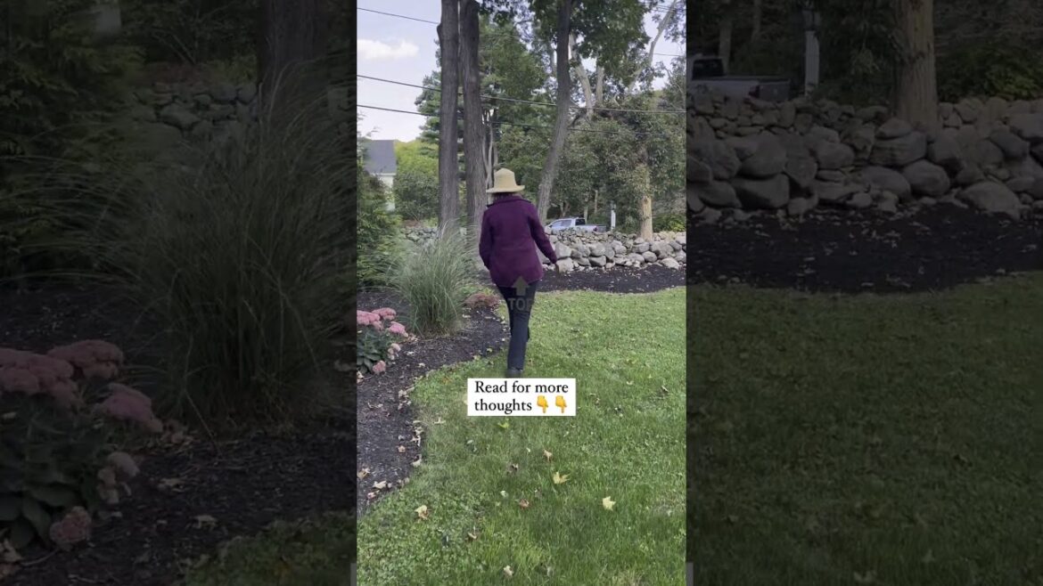 🌺Garden Design With Curves 🌺Garden Design With Curves