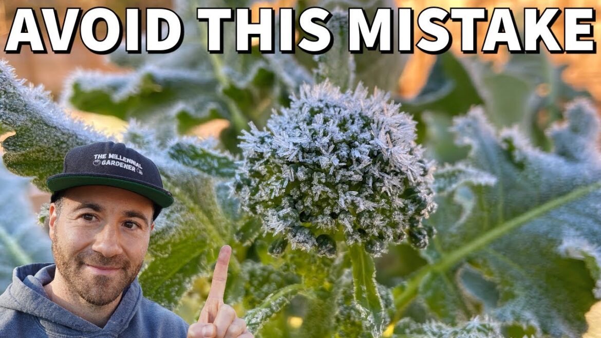 This Simple Tip Can Save Your Fall Garden From Cold This Simple Tip Can Save Your Fall Garden From Cold