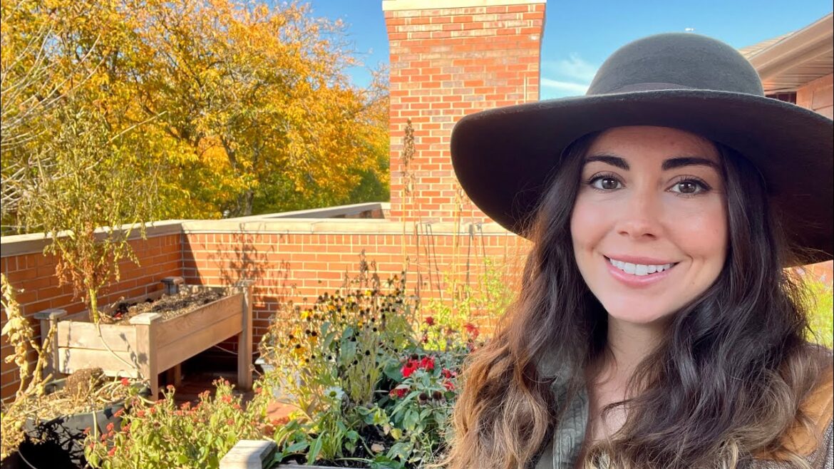 November Container Garden Tour + All The Garden Tasks I Still Need To Do