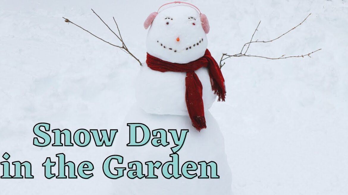 We Need a Snow Blower ❄️ Broadway Gardener