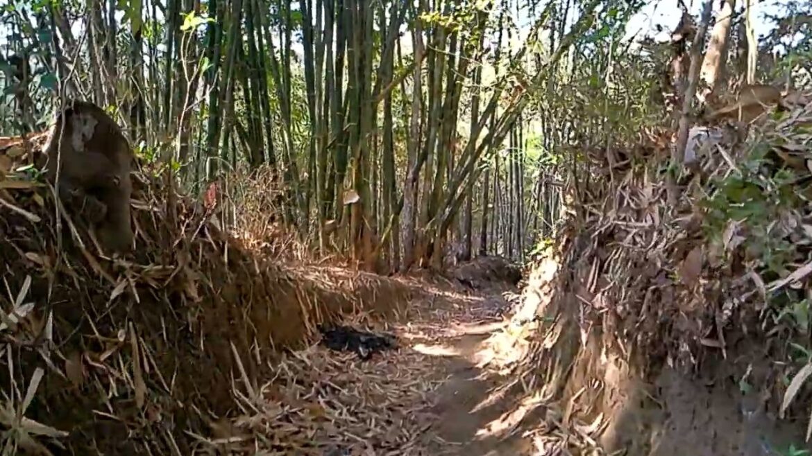 Relax and Unwind Strolling Beside Village Lanes Relax and Unwind Strolling Beside Village Lanes