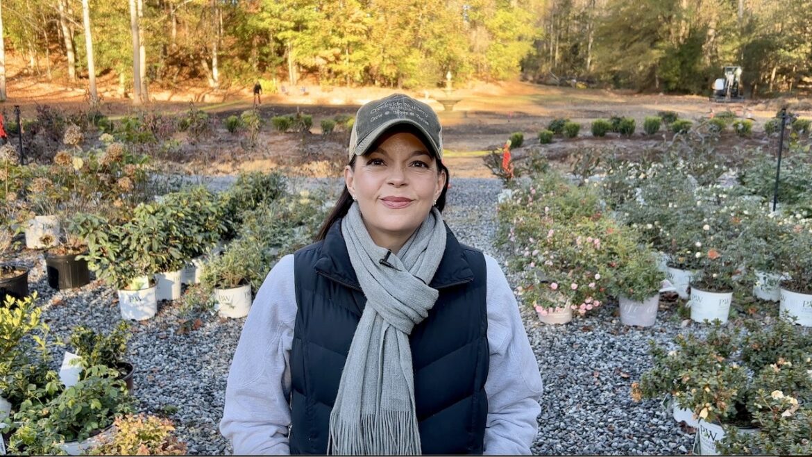 November Nursery Specials & A Fun Surprise | Gardening with Creekside