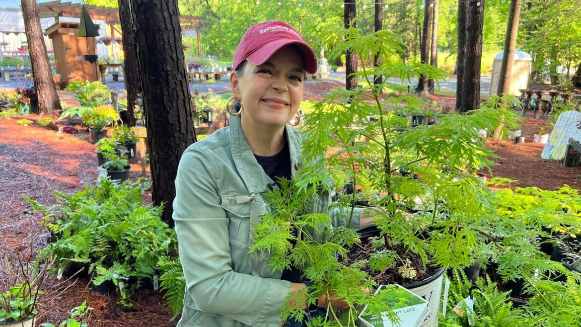 Gorgeous New Plants at the Nursery | Gardening with Creekside