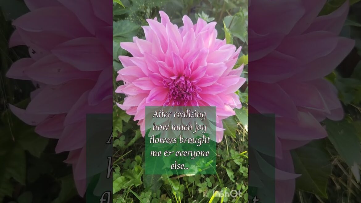 When you're planning your 2024 Vegetable Garden- make sure you are making room for flowers!