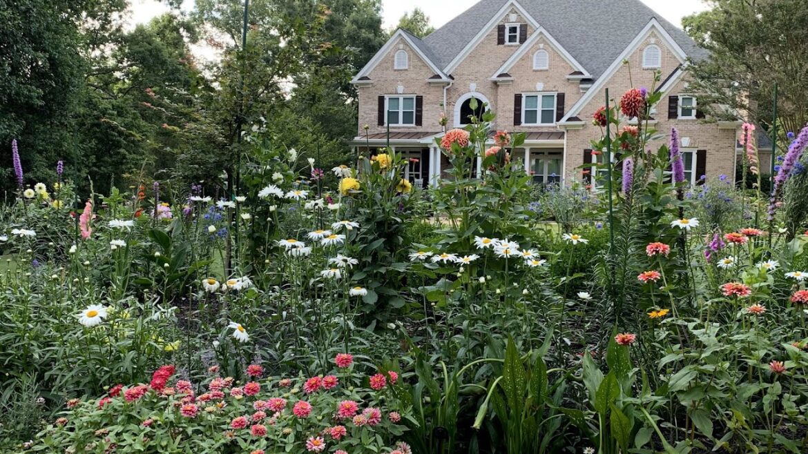 12 Amazing Garden Transformations 12 Amazing Garden Transformations