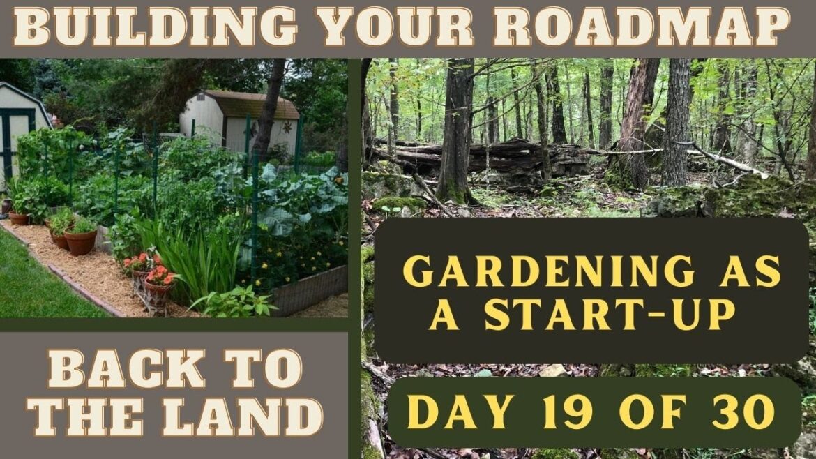 Back to the Land – Day 19 – Research Process For Land Purchase Back to the Land - Day 19 - Research Process For Land Purchase